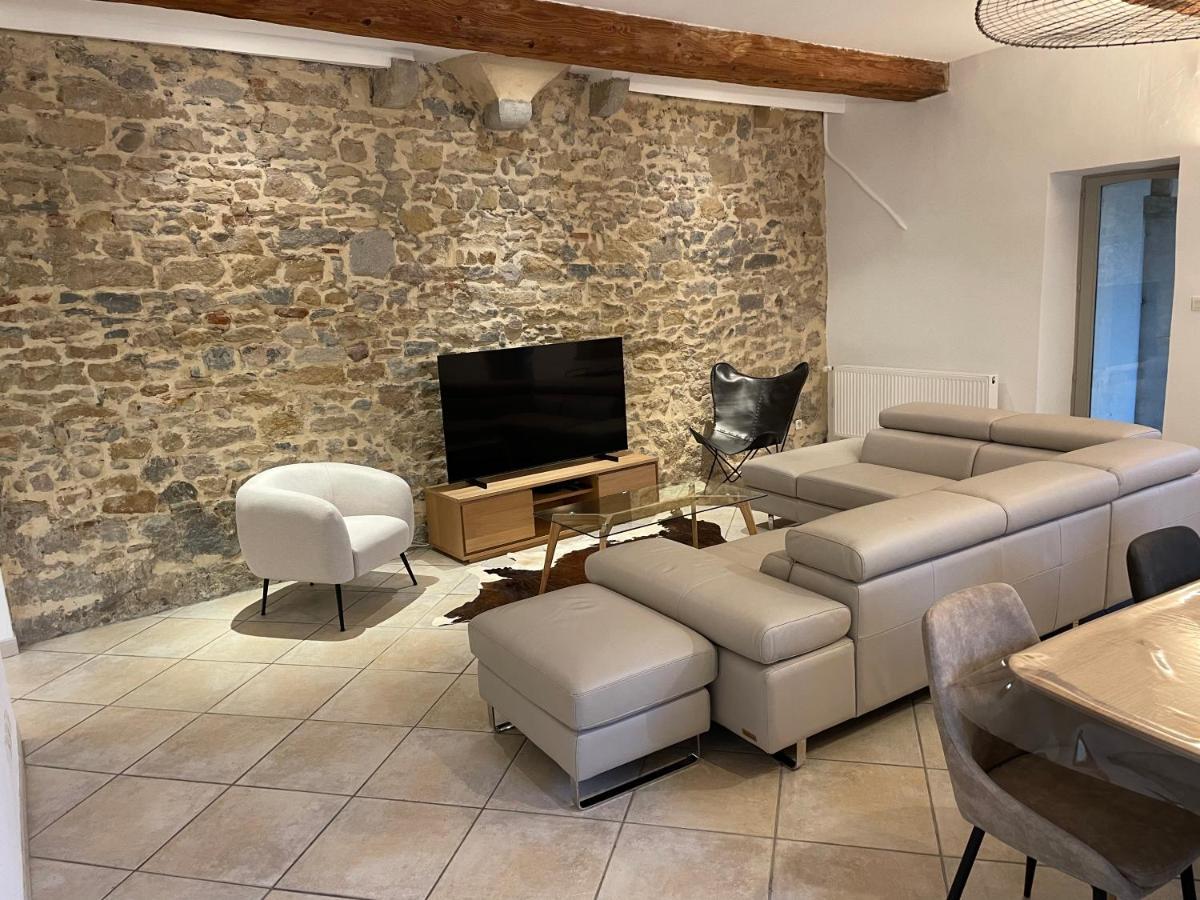 شقة Beau Duplex Avec Jardin Et Vue ليون المظهر الخارجي الصورة